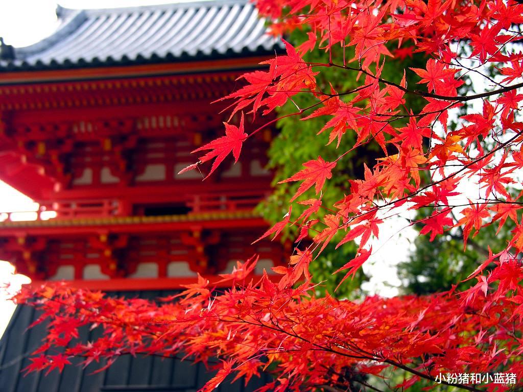 GDP|各国上半年GDP：日本2.4万亿，德国1.8万亿，美国和中国呢？