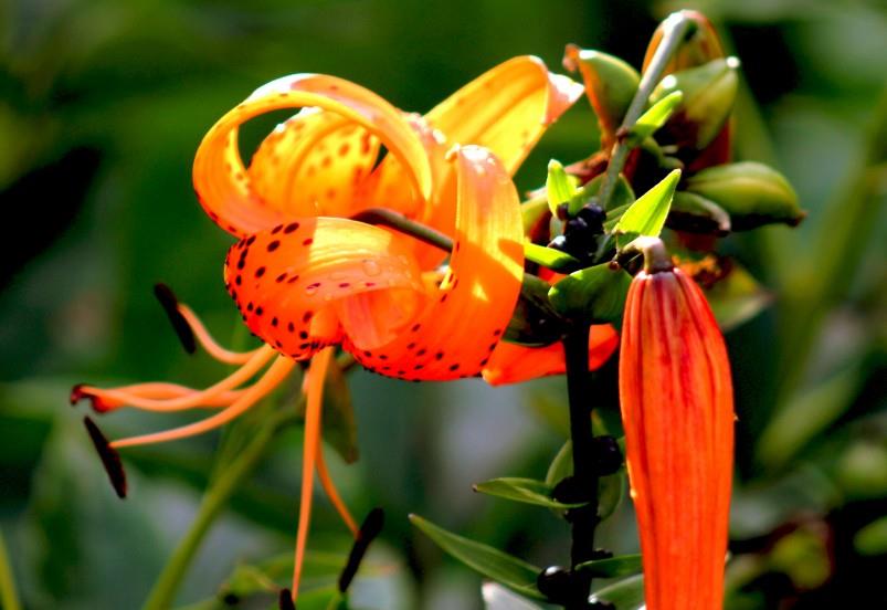 巨蟹座|10月下旬，爱情运来袭，恭喜脱单，甜蜜爱情轮到你们了的四大星座