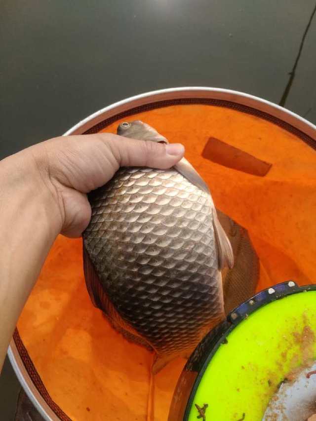 |子线秒切，从操作上来说，这三个原因，绝对称得上是魁魁祸首