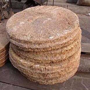 『太平湖』浅析：太平湖黄尾作钓攻略