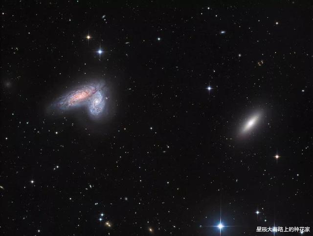 水母|到底发现了什么？NASA突然发布公告：停止对外星物体歧视性称呼！