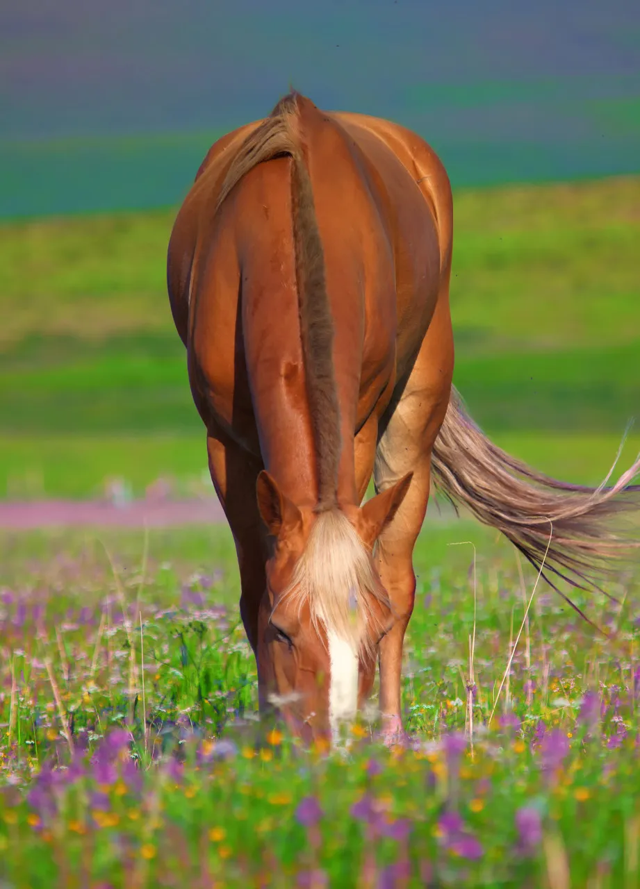『离岛』又一条中国最美国道爆火！霸占大西北50%的精华美景，7、8月沿途美爆朋友圈！