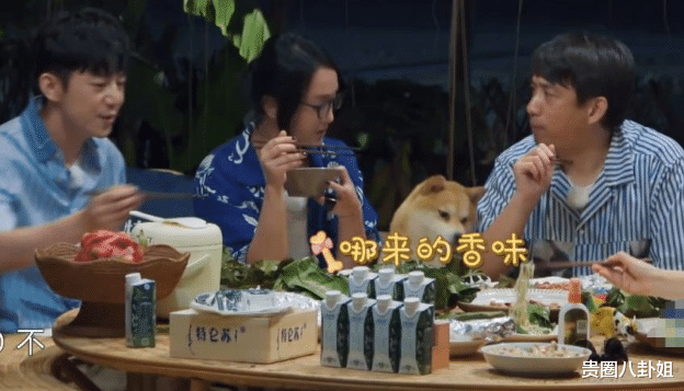 [黄磊]黄磊做饭被吹爆，但是当导演不小心关掉滤镜，网友看了直呼不想吃