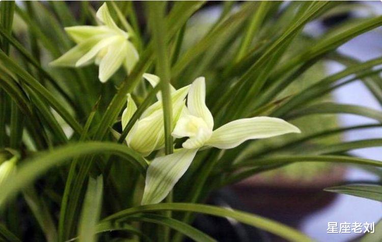 明天起，喜事如雨下不停，4生肖中大奖、发大财，喜事上上吉