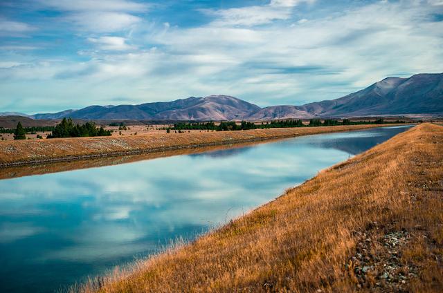 生肖|一生孤寒，非常狠心的3个生肖，非常现实，只看重利益关系