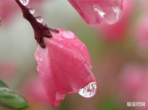 |哪些月份出生的人,靠自己的努力打开事业之门,能得到贵人青睐!