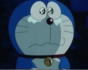 高校|一个博士的血泪求职路：想入职高校？请以我为鉴避坑！