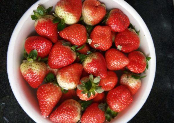 「水果」4种寄生虫最多的水果，大人都不能常吃，更别说小孩，最好都别碰