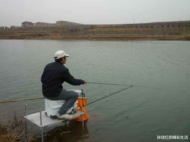 饵料|鱼饵料好一点,中鱼率才高?正相反,难怪你的篮子总是空空的