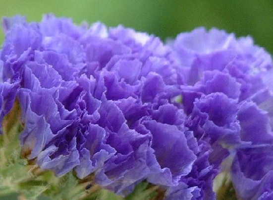 生肖:踏入5月中下旬,4生肖属相吉星映照,运势如虹,贵人相助八方来助,生活璀璨