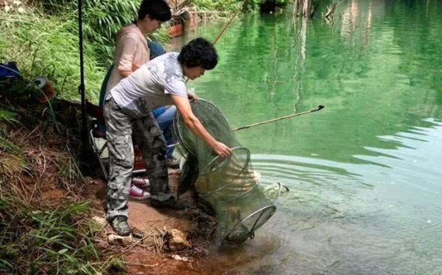 鱼塘|谚语云：“春钓滩，夏钓潭”钓鱼人该如何理解？