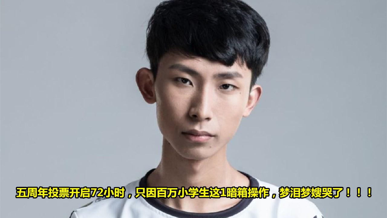 梦泪|五周年投票开启72小时,只因百万小学生这1暗箱操作,梦泪梦嫂哭了