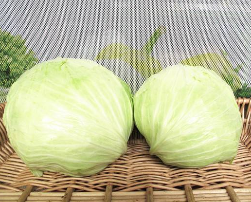 包菜|扁包菜和圆包菜有什么区别？其实口感差远了，以后别再傻傻的乱买