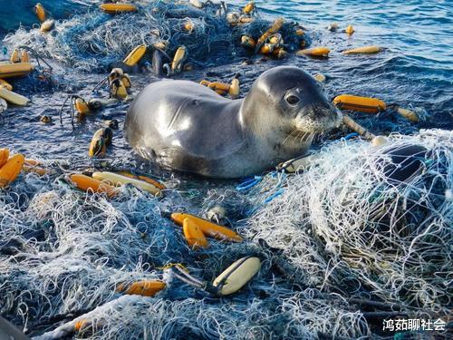 |卫星拍到惊人一幕！400万吨“巨兽”逼近中国，我们该如何“打怪兽”？