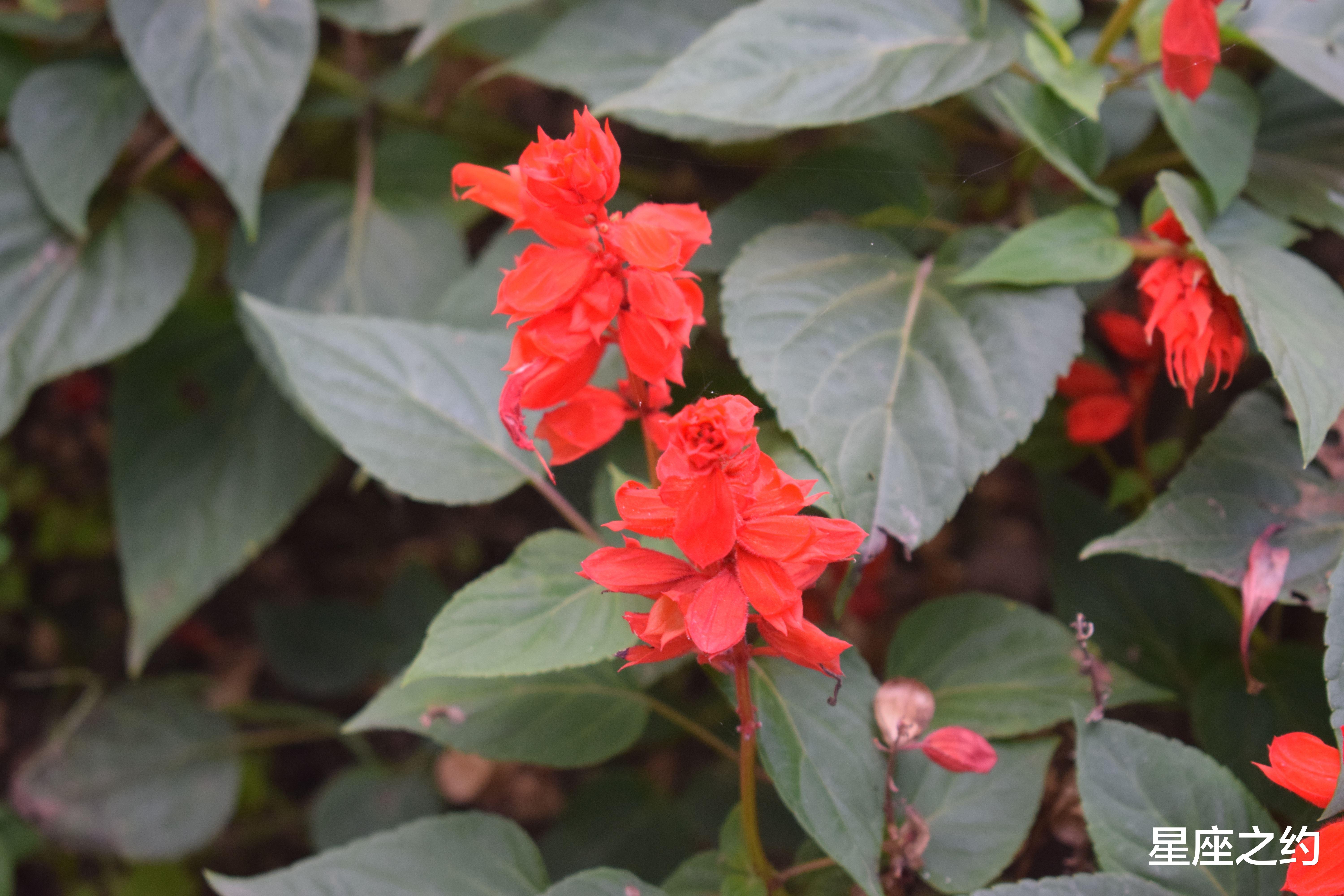 |在9月份，苦尽甘来，扶摇直上，生活富足的三大星座