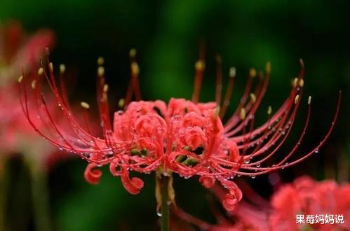 金牛座|下半年，烦恼逐渐消失，好运源源不断的四星座