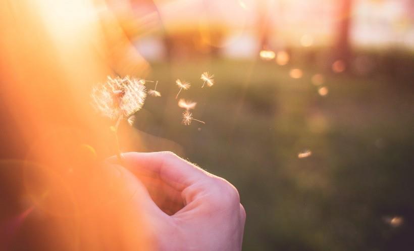 白羊座|10月喜鹊报福，金钱抱回家，财运如火如荼，好运大发的4大星座