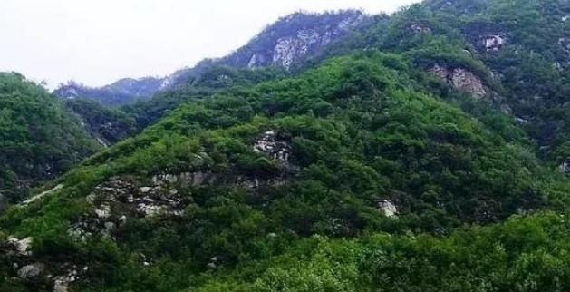 旅行|中国“最良心”景区，三餐加起来不到50块，对游客实行免费游玩