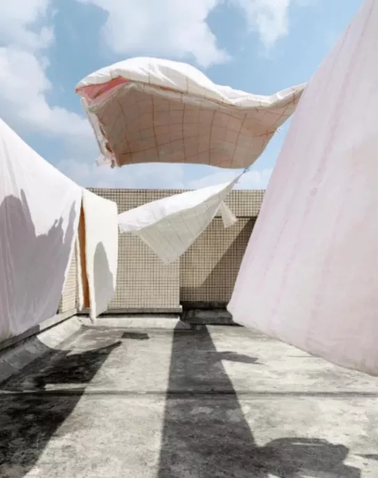 iPhone|手机拍照，小白也能拿“奥斯卡”？