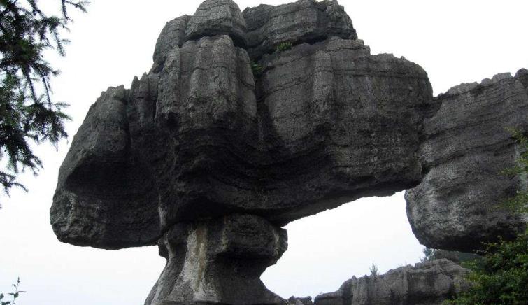 神农架|重庆罕见的5A级景区,人称西南“神农架”,赛过九寨沟游客却罕至