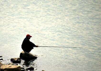 富二代|俗语:“钓鱼穷三年,玩鸟毁一生”,老祖宗说的话需要仔细品味