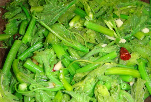 南瓜|7成人“忽略”这菜，是药还是菜，湿气消失了，胖人越吃越瘦