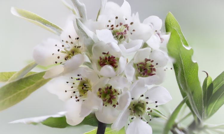 生肖|9月份期间，缘分与桃花始终不渝，从此相守到白头的4大生肖！