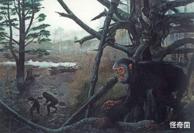 女娲|若人类突然消失，几百亿年后，哪些证据能证明人类存在过？