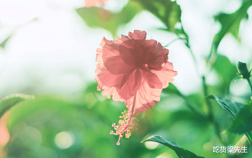 「射手座」占有欲强，越是爱你，越是管着你，最喜欢管着爱人的四大生肖女