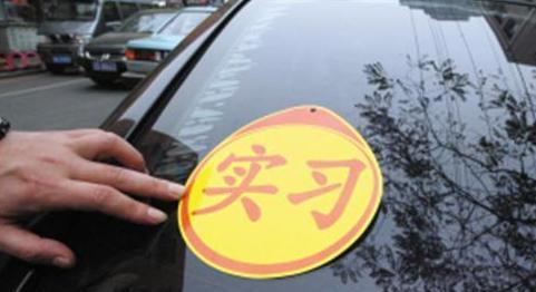 长安汽车|刚拿驾照适合开什么车？这五款可供参考，价格便宜还省油