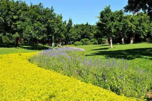 民警|“你们找不到证据就别想抓住我!”