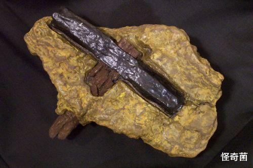 科学家|科学史上四大谎言，全部是假的，却还有人深信不疑