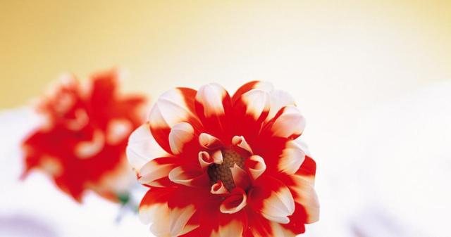 |8月，4属相财运一路高涨，事业一片光明，生活一片希望