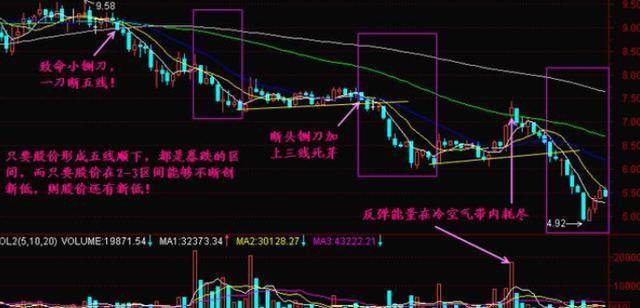「股价」巴菲特点破中国股市：1240元的茅台和5元左右的中国石油，哪个更值得投资者关注？作为投资者怎么看