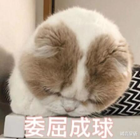 |北方的同学去南方上大学后,你会发现,日子原来可以如此“艰难”