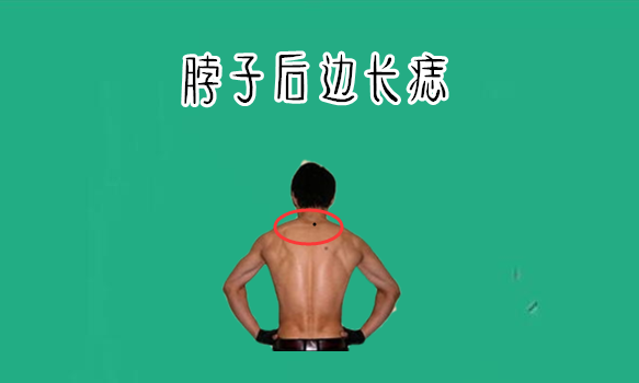 运势:身体5颗“福禄”痣,命里藏金,个个成龙成凤,有钱又有福!