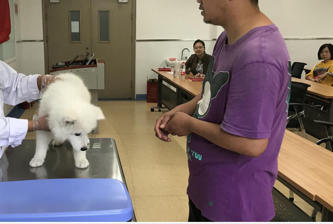 『』二本理科生：参考这8个专业就够了，本科毕业找工作都很轻松