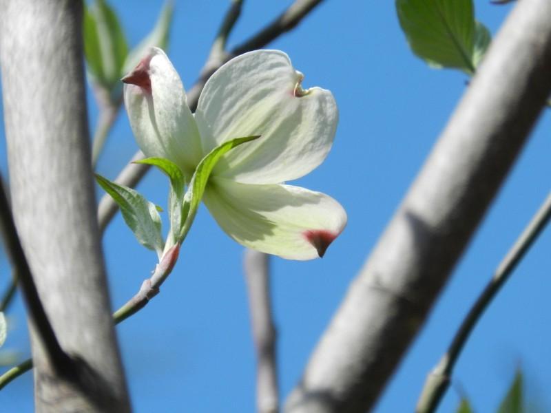 |在9月下旬，好运相伴，循序渐进，实力大增的三大星座