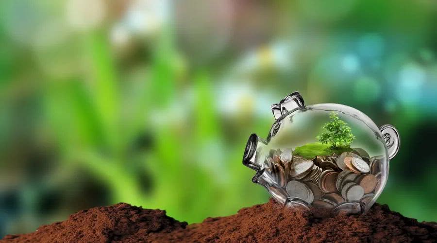 『生肖』6月惹不起，官运亨通，穷运到头，让人高攀不上的生肖