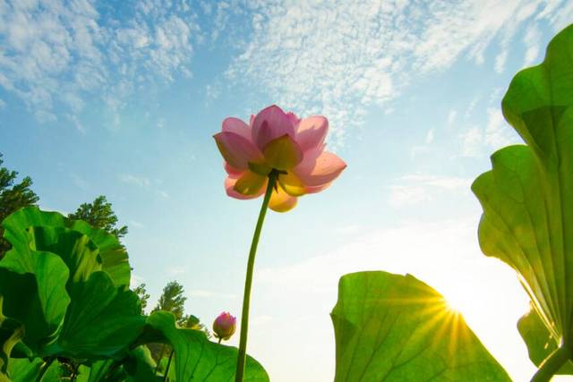 「」5月7.8号,财运大涨,3属相事业发展顺利,扬眉吐气