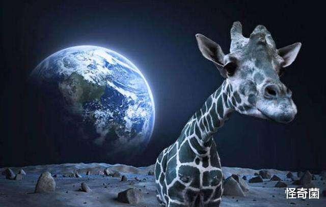 太阳系▲太阳系是“人造”的?特斯拉手稿中的记载,你相信吗?