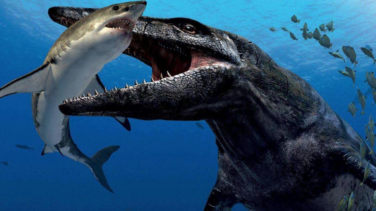 『霸王龙』7层楼高的史前生物，能一口咬碎霸王龙的头骨，结局却被饿死