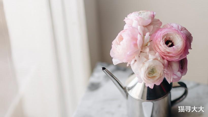 『生肖』7月底，百花绽放，喜鹊啼鸣，邂逅真爱，喜迎情缘小高潮的4大生肖