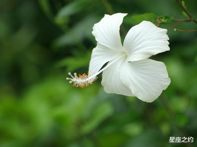 [金牛座]面对这样的天秤座，真的很让人心累