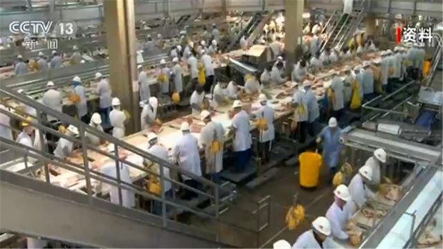 『王晶』部分超市限购牛肉猪肉 一些美国人开始通过打猎获取肉类