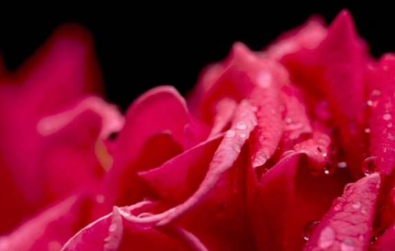 旧爱|十月下旬开始，事业蒸蒸日上，运势上佳，横财加身的生肖