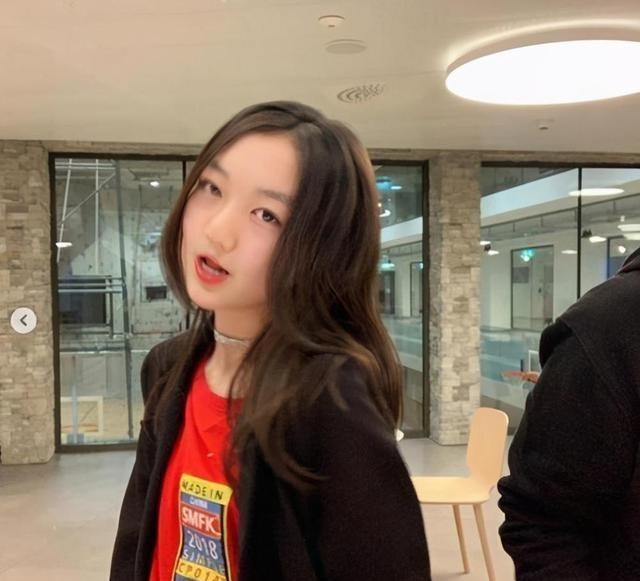 王菲|同样是患“兔唇”，王菲女儿和冯小刚女儿，如今差距一目了然
