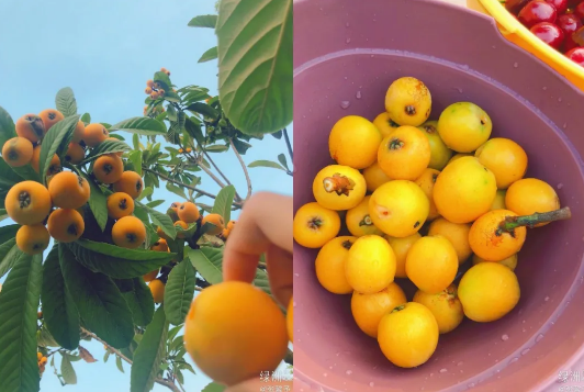 张馨予|被张馨予模仿那么多回，范冰冰终于开始模仿张馨予了？