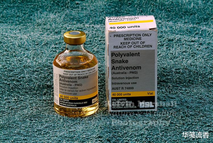 毒蛇|农村老人说，被毒蛇咬死的鸡是1等1的美味，这是真的吗？