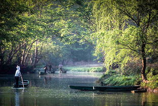 「」全中国仅剩的世外桃源，你知道在哪吗？